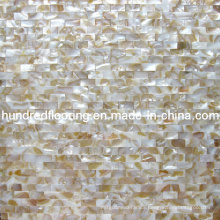 Shell Mosaic Mother of Pearl (HMP62)